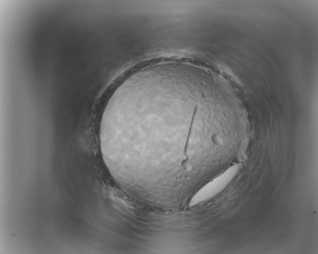 X0000068771256200605121652