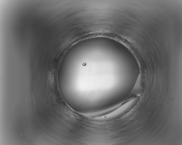 X0000068771257200605121652