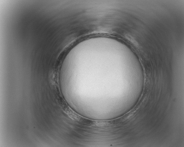 X0000068771258200605121652