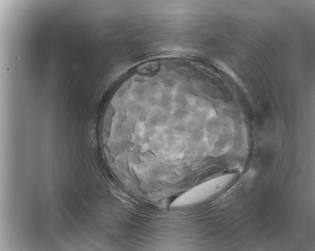 X0000068771259200605121652