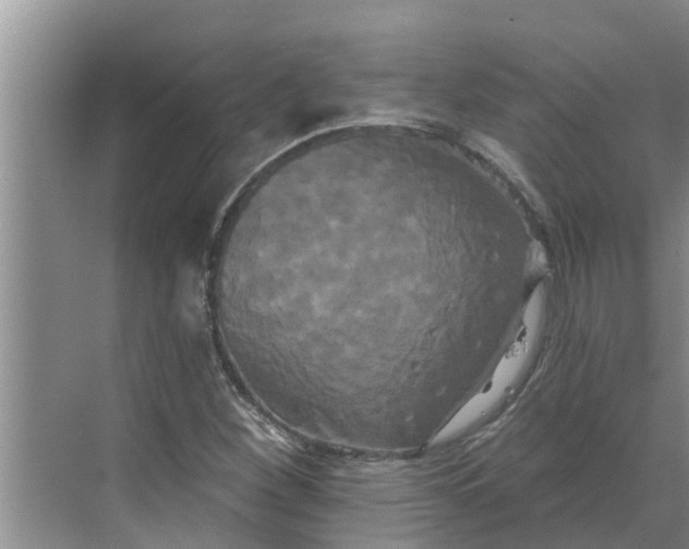 X0000068771260200605121652