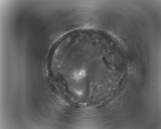 X0000068771262200605121652