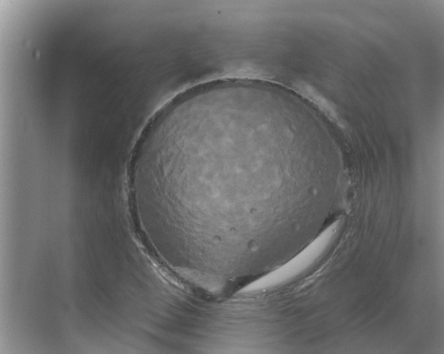 X0000068771264200605121652