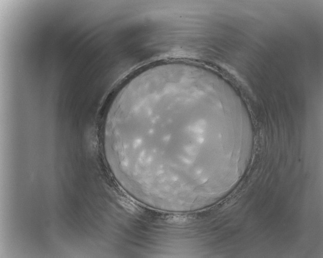 X0000068771266200605121652