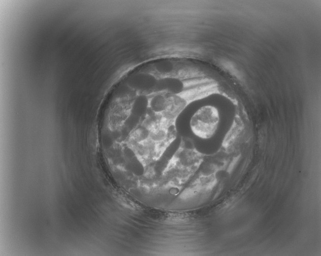 X0000068771267200605121652