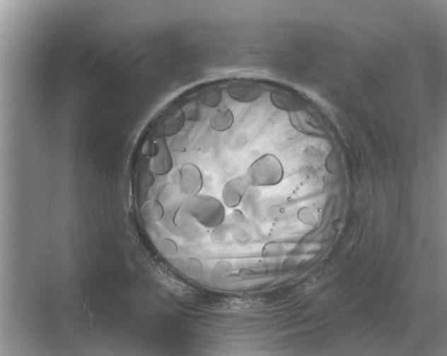 X0000068771271200605121652