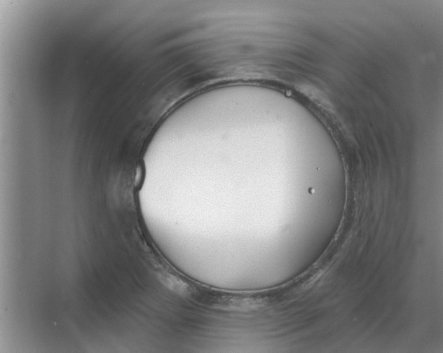 X0000068771273200605121652