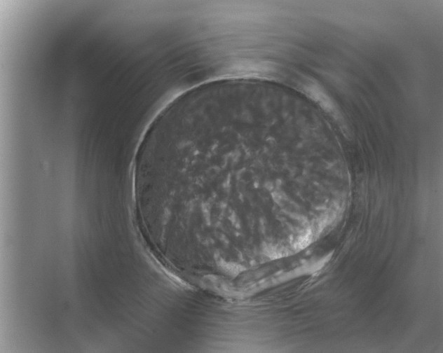 X0000068771275200605121652