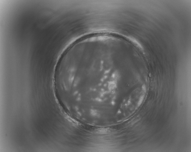 X0000068771279200605121652