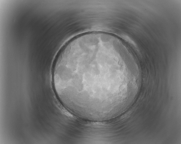 X0000068771280200605121652