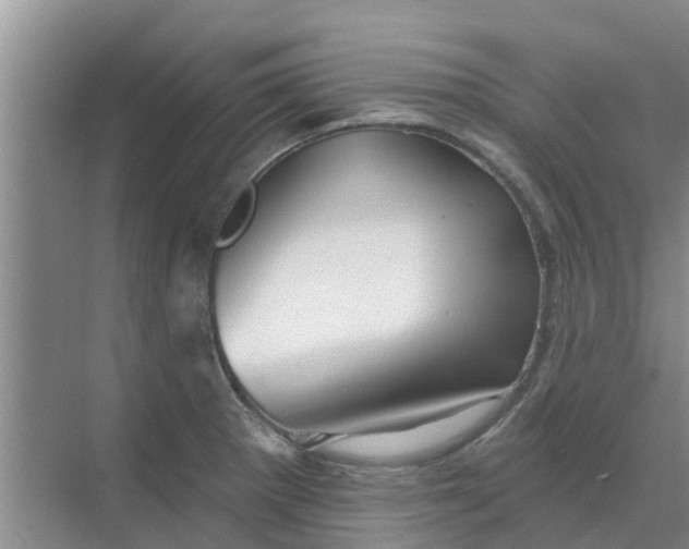 X0000068771281200605121652