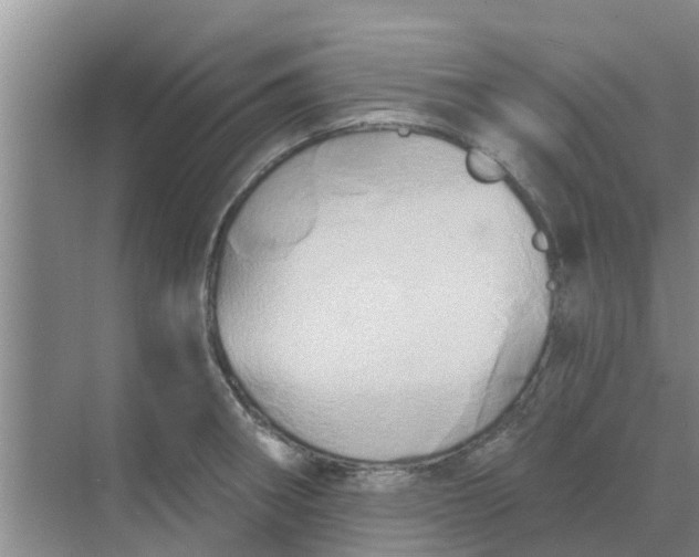 X0000068771282200605121652