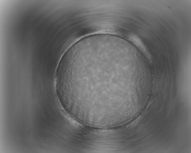 X0000068771284200605121652