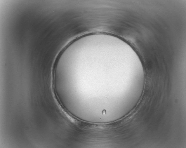 X0000068771286200605121652