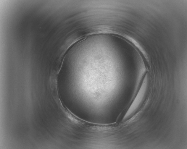 X0000068771289200605121652