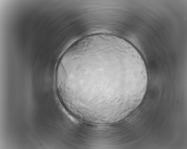 X0000068771290200605121652