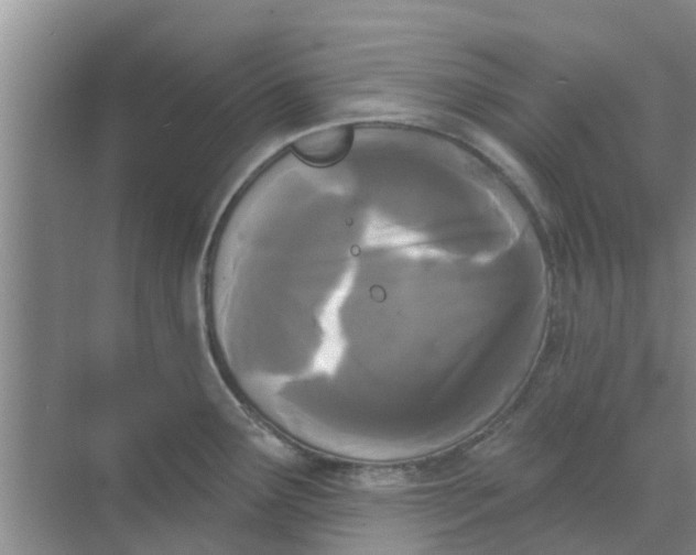 X0000068771291200605121652