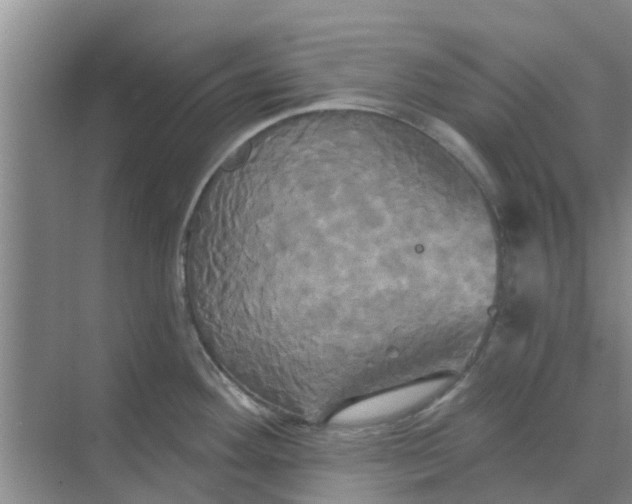 X0000068771292200605121652