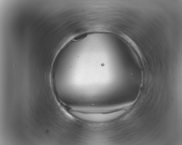 X0000068771293200605121652