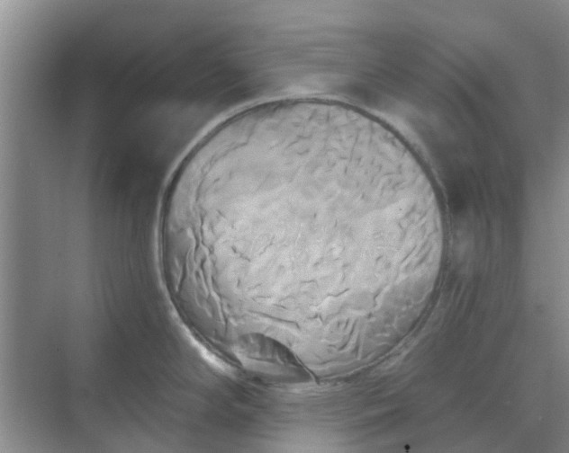 X0000068771294200605121652