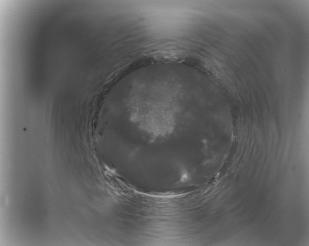 X0000068771297200605121651