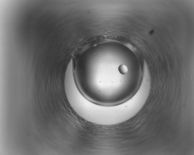 X0000068771298200605121651