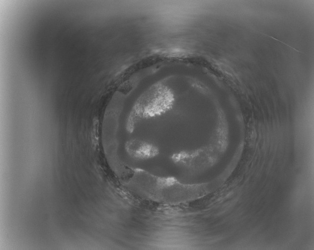 X0000068771301200605121651