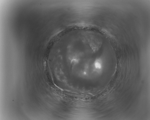 X0000068771302200605121651