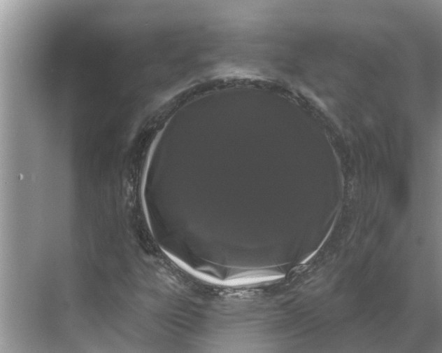 X0000068771303200605121651