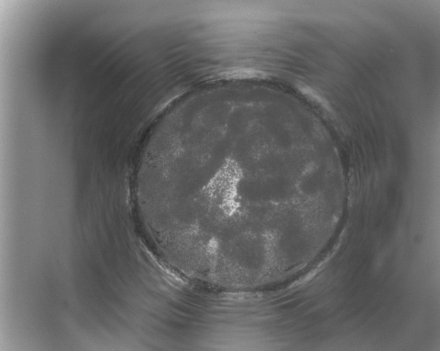 X0000068771305200605121651