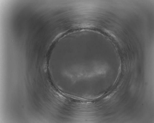 X0000068771306200605121651