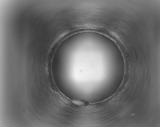 X0000068771307200605121651