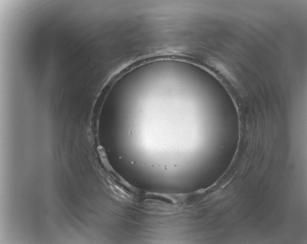 X0000068771308200605121651