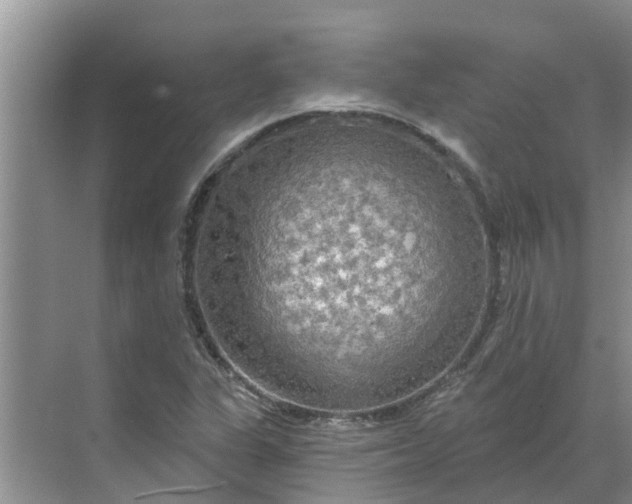 X0000068771311200605121651