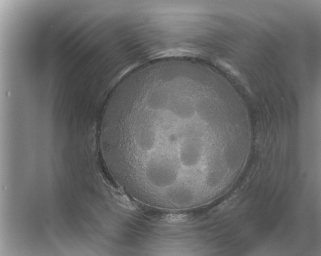 X0000068771313200605121651