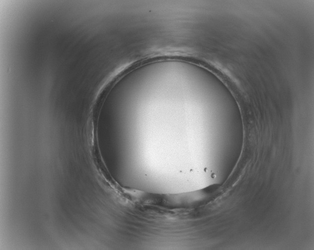 X0000068771317200605121651