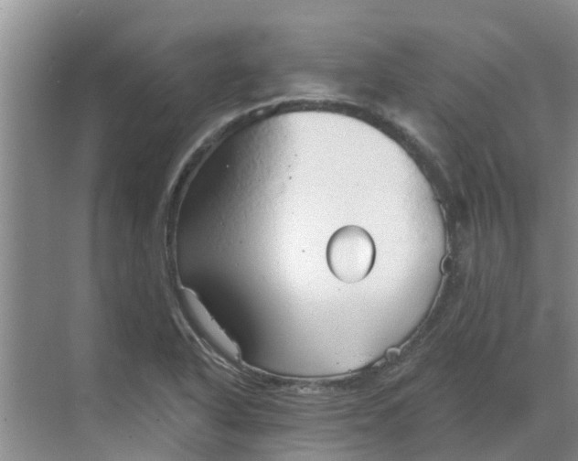 X0000068771318200605121651