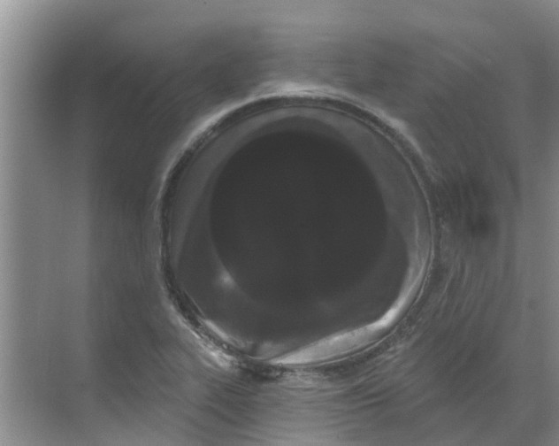 X0000068771319200605121651