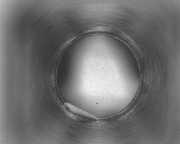 X0000068771321200605121651