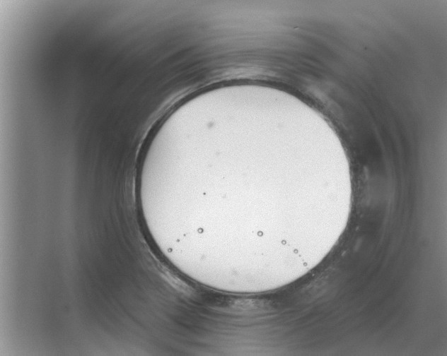 X0000068771322200605121651