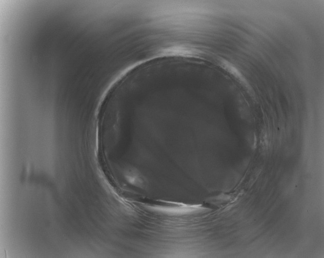 X0000068771323200605121651