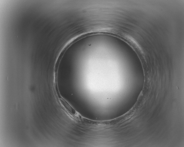 X0000068771324200605121651