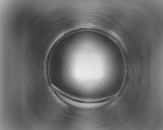 X0000068771326200605121651