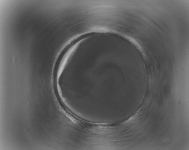 X0000068771327200605121651