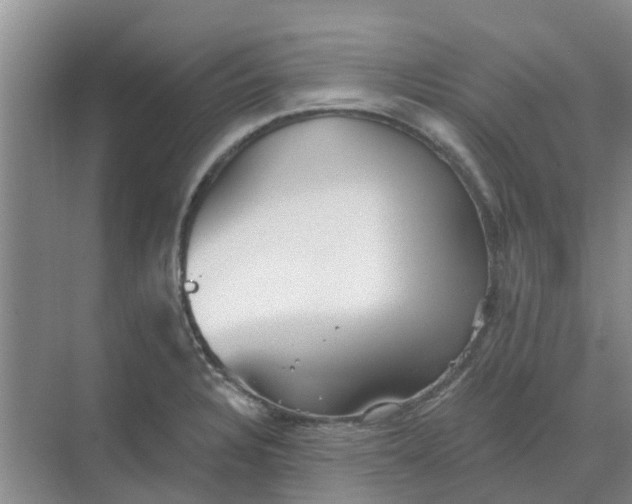 X0000068771328200605121651