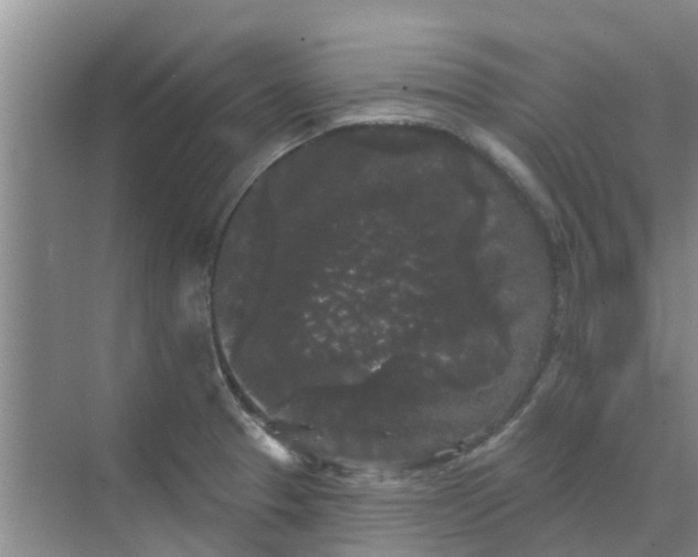 X0000068771329200605121651