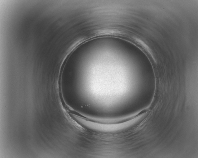 X0000068771330200605121652