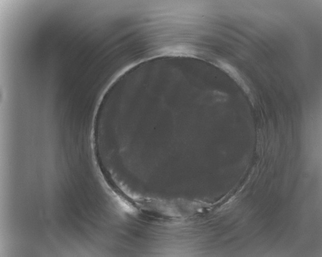 X0000068771331200605121652