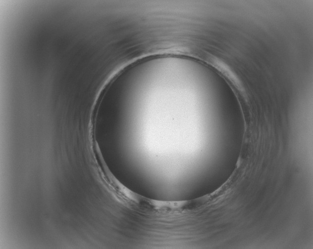 X0000068771332200605121652