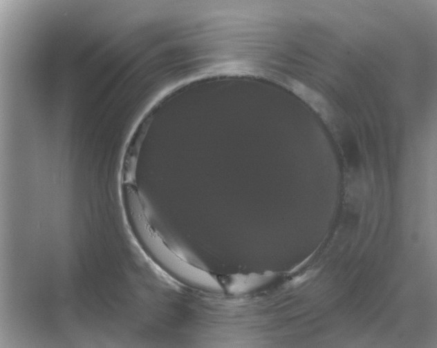 X0000068771334200605121652